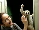 パーリィをはじめる淫夢くん