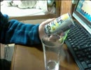 酒好きな俺の飲酒動画　part１６４　ストロングゼロダブルレモン