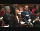 H24/03/19 参院予算委員会・島尻安伊子【審議ストッパー☆マキオ冒頭切れ】
