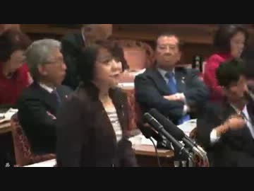 H24/03/19 参院予算委員会・島尻安伊子【審議ストッパー☆マキオ冒頭切れ】