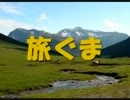 姉ぐま・ガーナの【旅ぐま】～カトレア箱根の旅①～