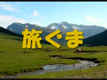 姉ぐま・ガーナの【旅ぐま】～カトレア箱根の旅①～