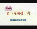 第14回まつだ桜まつり（2012年3月15日）