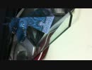 IMG_4182[1].MOV