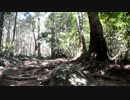 ゆっくり登山　そうだ筑波山行こう！　part１