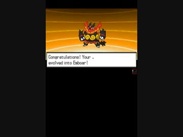 【TAS】ポケットモンスター ホワイト in 3:01:56 (7/9)