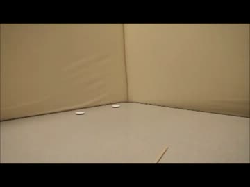 【逆再生】オセロのコマで超高速ダルマ落とし45枚！