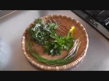 野草を天ぷらにして食す！実食編【やどけん！】