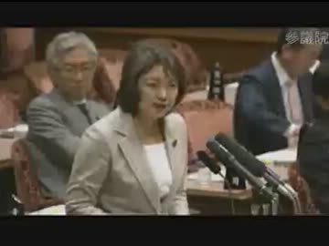 H24/03/22 参院予算委公聴会公述人質疑・竹谷とし子（公）/中西健治（み）