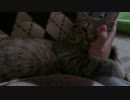 すっごい押しつけるよ！