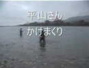 新潟県荒川鮭調査区間　ルアー＆フライ編