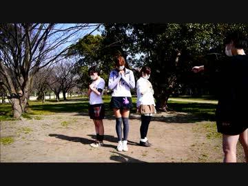 【あかっぷ・だむ・手拭いプリン】Melody Line【踊ってみた】