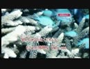 プロバイダ変える前にやったドブボカラオケ2時間枠。