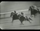 1963年第24回菊花賞　メイズイ　菊花賞最高単勝支持率で６着に敗れる