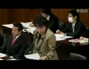 2012年03月22日【参議院】外交防衛委員会 猪口邦子(自民党)