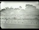 1963年第23回皐月賞