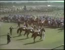 1973年　 日本ダービー　タケホープ