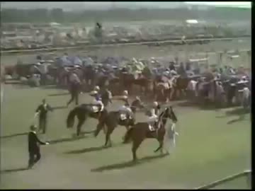 競馬】昭和のアイドルホース「ハイセイコー」と「ウマ娘が歌う理由