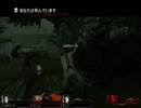 【実況】年上好きにはたまらん！姉・ハード・レイン　part5/29【L4D2】