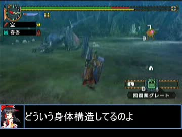 【東方】迷い込んでポッケ村　第四十四話・狩猟中編【ＭＨ】