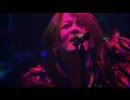 羽根TERU動画