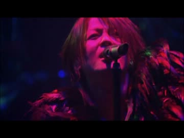 羽根TERU動画