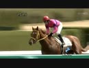 3歳未勝利_オースミイチバン