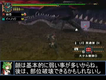 【東方】迷い込んでポッケ村　第四十六話・狩猟前編【ＭＨ】