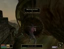 【Vvardenfellで】拳で語るMorrowind　Part45【武者修行】