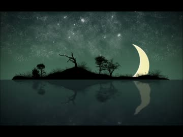 『wander the night』