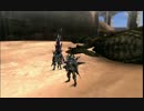 【MHP3】恐暴の宴　ペア　槌＆槍　4'49"23　TS抜き