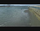 Sunday Morning.wmv