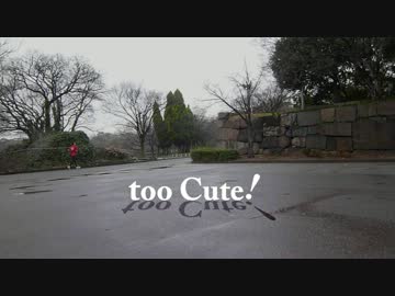 【にっぺ】too Cute! 踊ってみた【ミール】