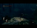 【DARK SOULS 】解き放たれた力と明かされぬ謎の追求　part7