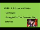 【(再)歌ってみた】Galneryus_Struggle For Freedom Flag (MOTCHvo)