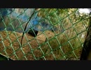 三つ編みさんのサバゲー記録　in　SEAL`s 2011 1127　その2
