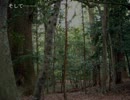 勿忘草の夜って何だっけ？part4 【実況】