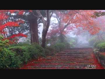 【雰囲気を味わう】霧隠れしは京の都【東方インスト】