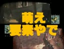 ヘタレ二匹が実況を始めたようです５上