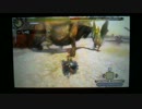 MH3G　イビルジョー飢餓　ランスソロ