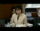 2012年03月27日【参議院】沖縄及び北方問題特別委員会 猪口邦子(自民党)