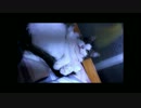 ピア動画　その１
