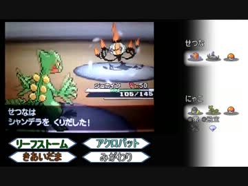 【ポケモンBW】To Nobles　Welcome to Battlefield-第弐幕-
