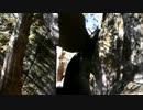 ゆっくり登山　そうだ筑波山行こう！　part2