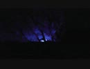 時計のちくたく音(withイルミネーション，エビの水槽)