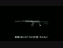 狙撃手にあこがれてSKS使ってみた