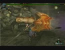 MHF 下位タイクンザムザを見てきた。