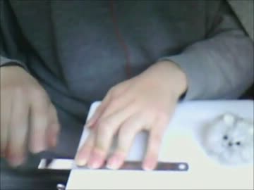 【モノサシスト見習い】白金ディスコを定規で弾きたかったのだ