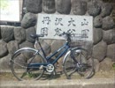 [車載]ママチャリヤビツ峠ダウンヒル！！！