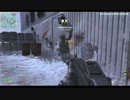 【PC版】　マルチTDM　part12 【MW3】